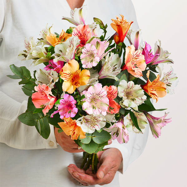 10 elegante Alstroemerie mit Eukalyptus